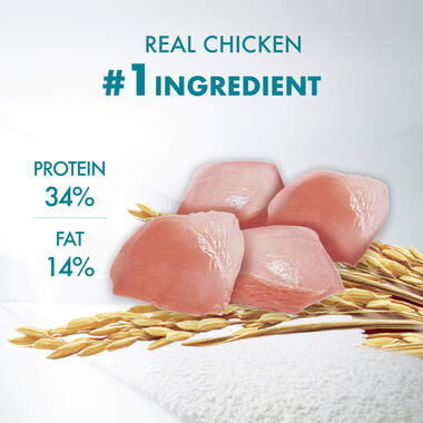 Purina ONE® Indoor Advantage Chicken