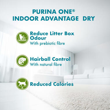 Purina ONE® Indoor Advantage Chicken