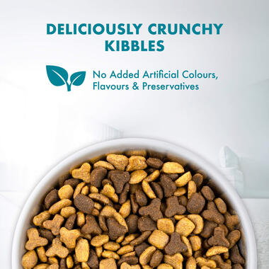 Purina ONE® Indoor Advantage Chicken