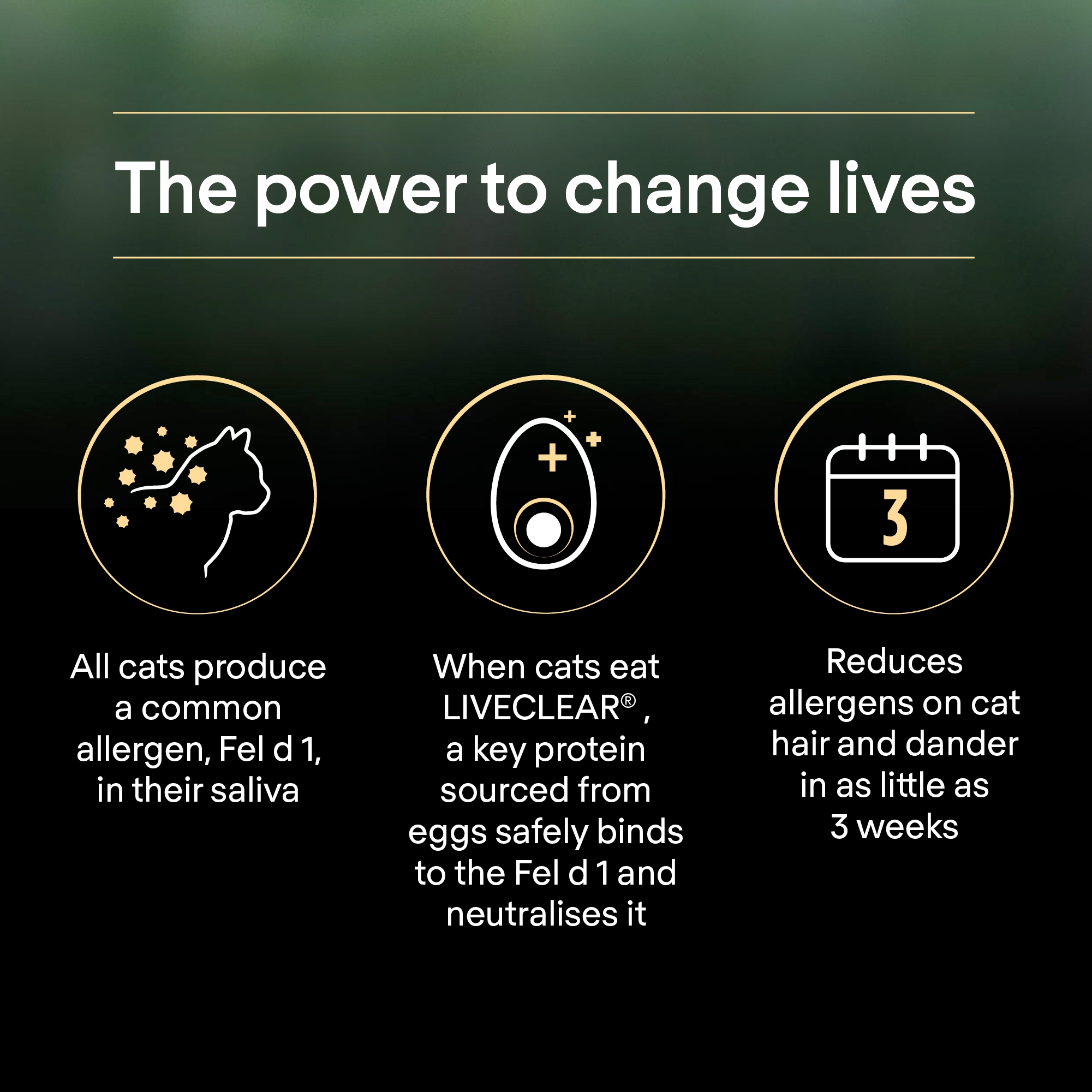 Purina Pro Plan LiveClear Sterilised Adult, Allergen-Reducing Dry Cat Food, Rich in Turkey