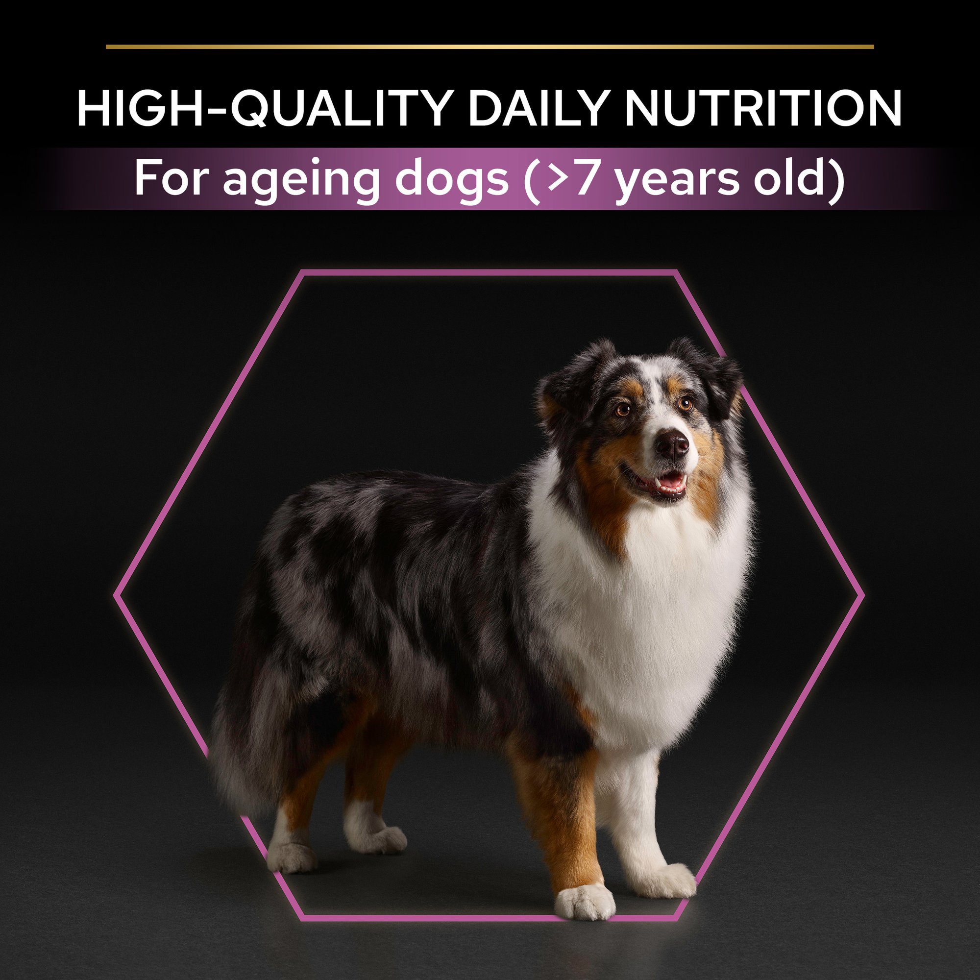 Purina Pro Plan Age Defence Medium and Large Senior 7+, Dry Dog food with Chicken