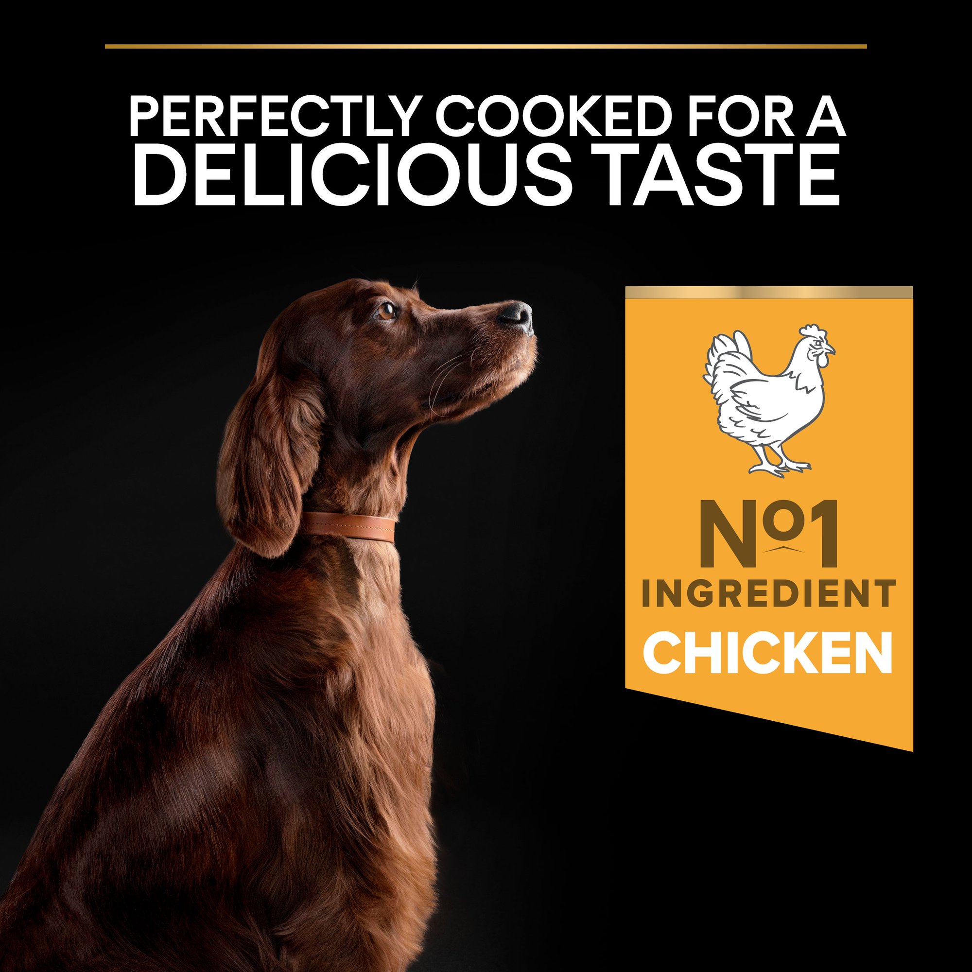 Purina Pro Plan Age Defence Medium and Large Senior 7+, Dry Dog food with Chicken