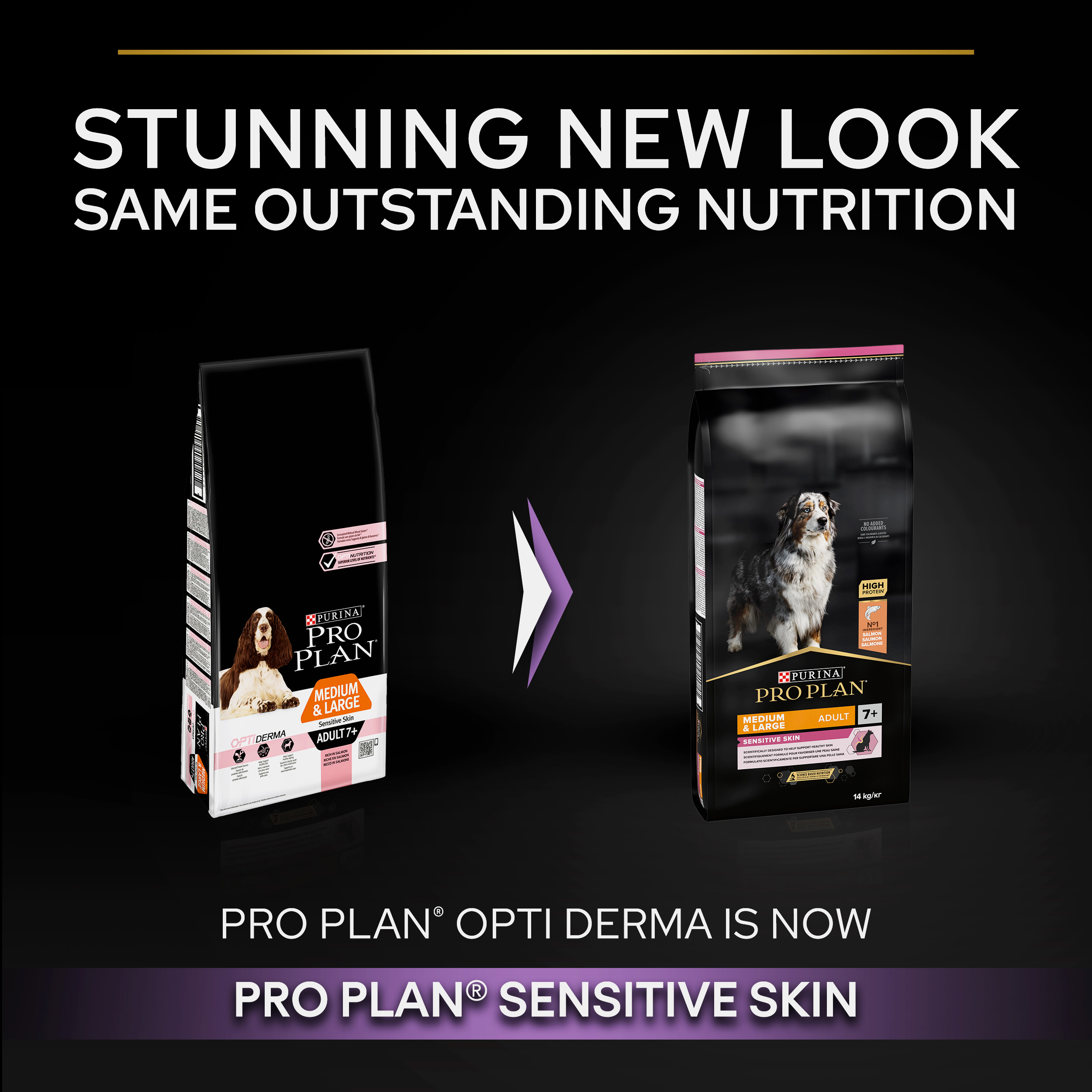 Purina Pro Plan Sensitive Skin Dog Food - Medium and Large Senior 7+, Dry Dog food with Salmon