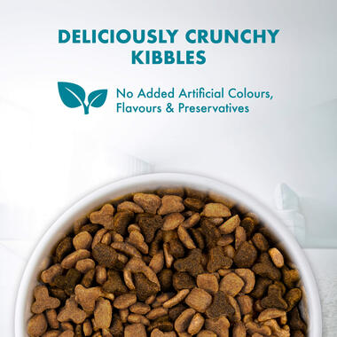 Purina ONE® Healthy Adult Salmon and Tuna