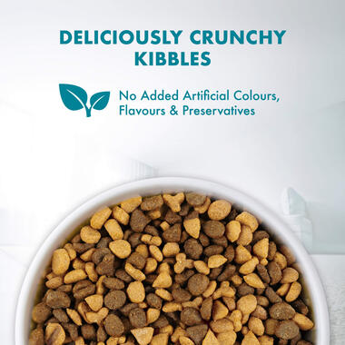 Purina ONE® Hairball Control Dry Cat Food