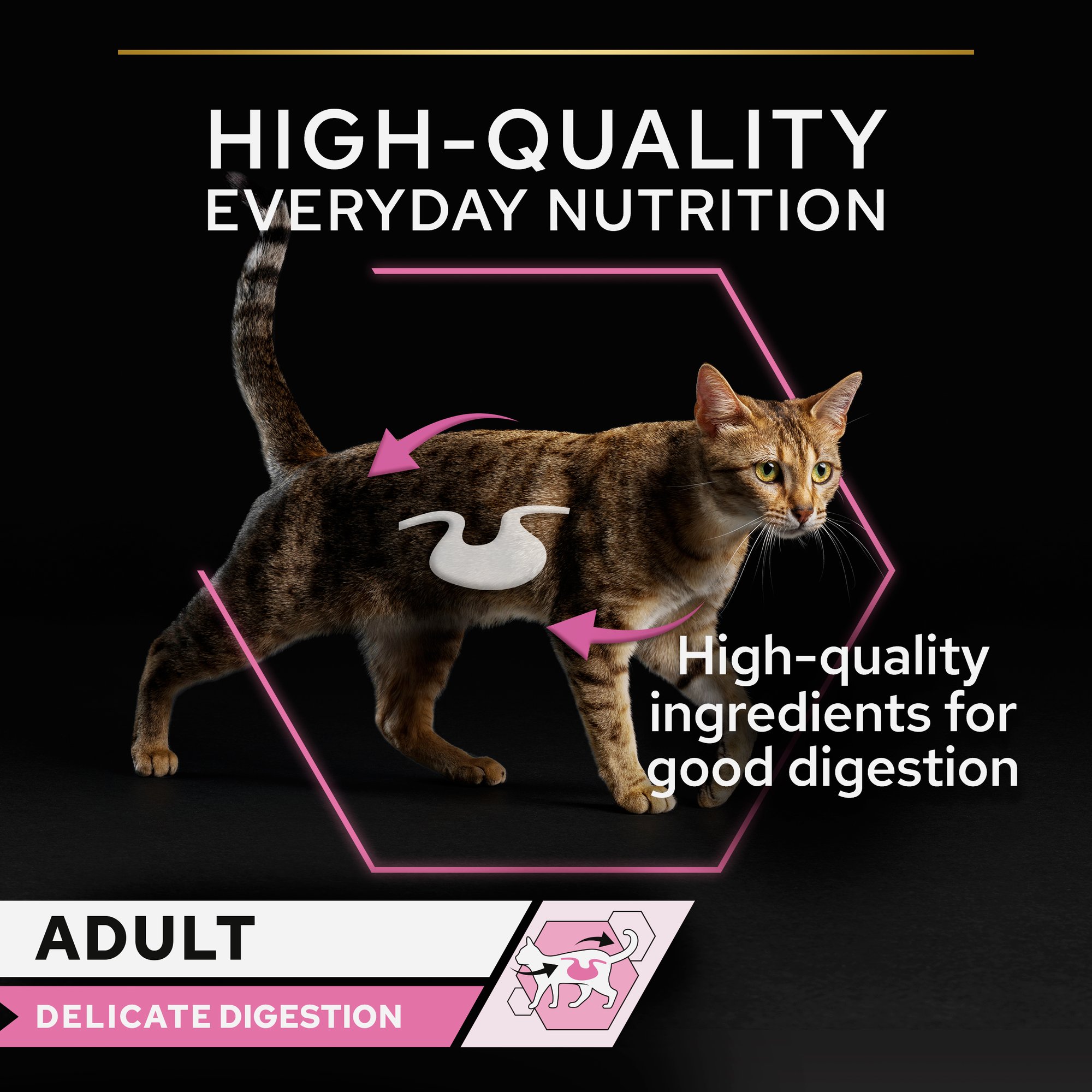 Purina Pro Plan Delicate Digestion Wet Cat Food, Turkey in Gravy