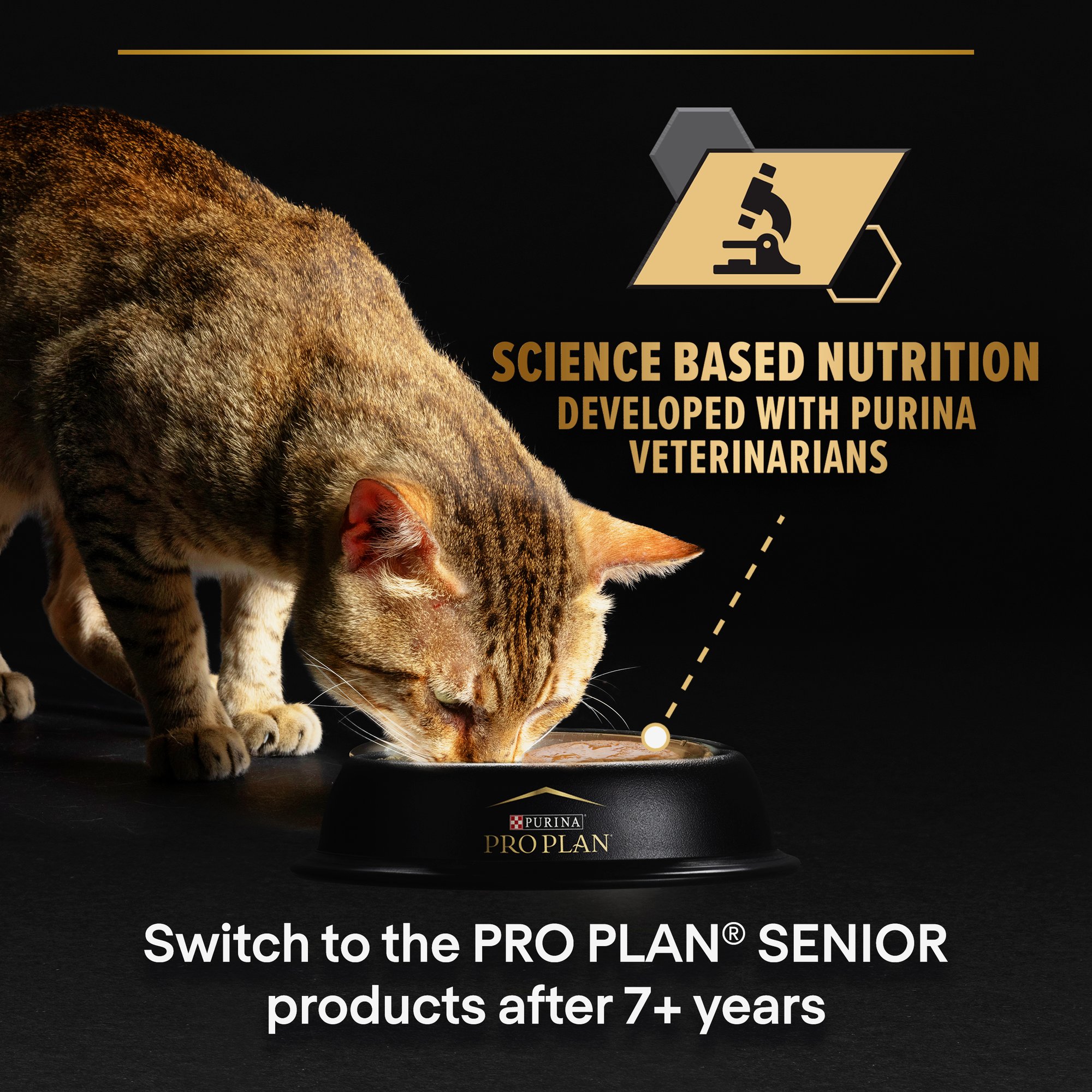 Purina Pro Plan Delicate Digestion Wet Cat Food, Turkey in Gravy
