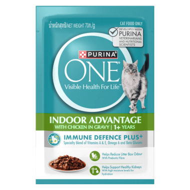 Purina ONE® Adult Indoor with Chicken in Gravy Wet Cat Food
