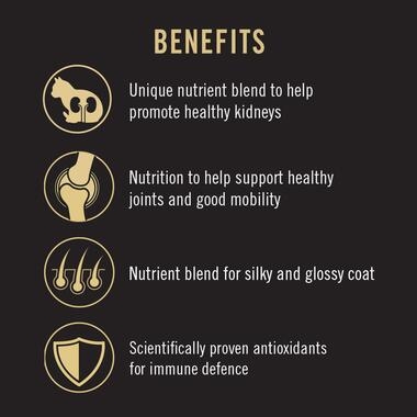 Pro Plan Adult Chicken Formula Dry Cat Food