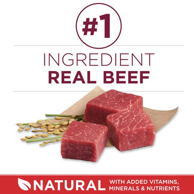 Purina ONE® Small Bites Beef & Rice Formula, 8 LB (3.63 kg)