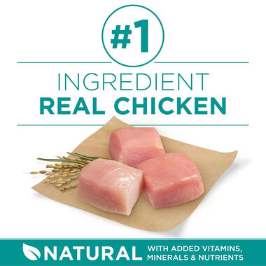 Purina ONE® +Plus Digestive Health Formula, 8 LB (3.63 kg)