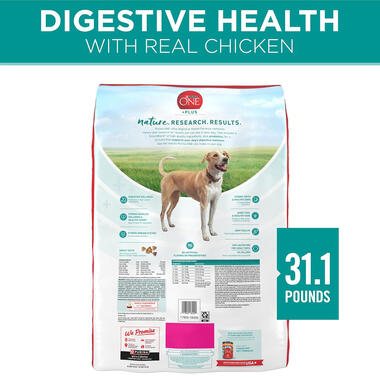 Purina ONE® +Plus Digestive Health Formula, 8 LB (3.63 kg)