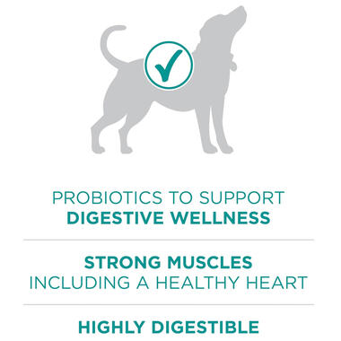 Purina ONE® +Plus Digestive Health Formula, 8 LB (3.63 kg)