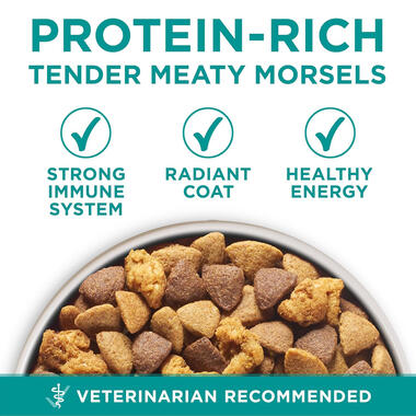 Purina ONE® +Plus Digestive Health Formula, 8 LB (3.63 kg)