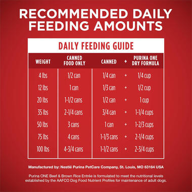 Purina ONE® Classic Ground Beef & Brown Rice Entrée, 0.8 LB (368 g)