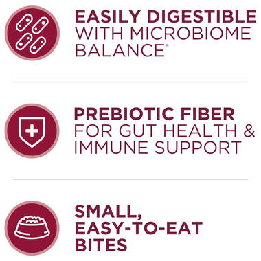 Purina ONE® Small Bites Beef & Rice Formula, 4 LB (1.81 kg)