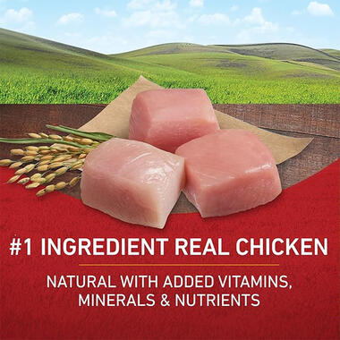 Purina ONE® Chicken & Rice Formula, 8 LB (3.63 kg)