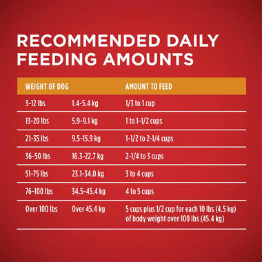 Purina ONE® Chicken & Rice Formula, 8 LB (3.63 kg)