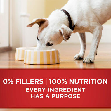 Purina ONE® Classic Ground Chicken & Brown Rice Entrée,0.8 LB  (368 g)