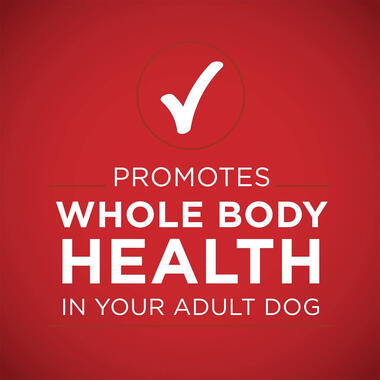 Purina ONE® Classic Ground Chicken & Brown Rice Entrée,0.8 LB  (368 g)