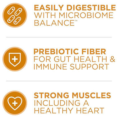 Purina ONE® Chicken & Rice Formula, 3 LB (1.36 kg)