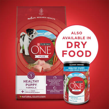Purina ONE® +Plus Classic Ground Healthy Puppy Lamb & Long Grain Rice Entrée, 0.8 LB (368 g)