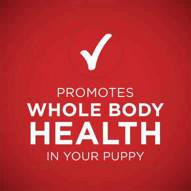 Purina ONE® +Plus Classic Ground Healthy Puppy Lamb & Long Grain Rice Entrée, 0.8 LB (368 g)