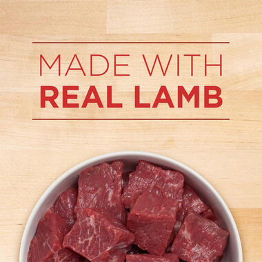 Purina ONE® +Plus Classic Ground Healthy Puppy Lamb & Long Grain Rice Entrée, 0.8 LB (368 g)