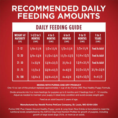 Purina ONE® +Plus Classic Ground Healthy Puppy Lamb & Long Grain Rice Entrée, 0.8 LB (368 g)