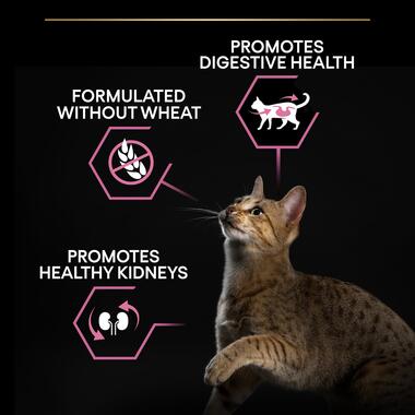 Purina Pro Plan Adult Delicate Digestion, Dry Cat Food with Turkey