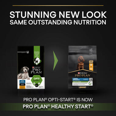 Purina Pro Plan Healthy Start Small and Mini Puppy, Dry Dog food with Chicken