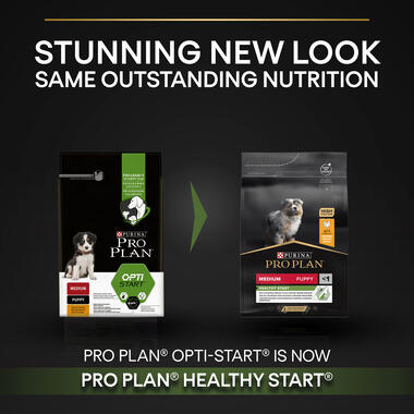Purina Pro Plan Healthy Start Medium Puppy, Dry Dog food with Chicken