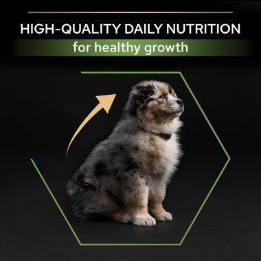 Purina Pro Plan Healthy Start Medium Puppy, Dry Dog food with Chicken