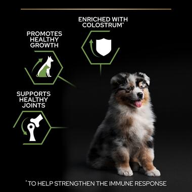 Purina Pro Plan Healthy Start Medium Puppy, Dry Dog food with Chicken