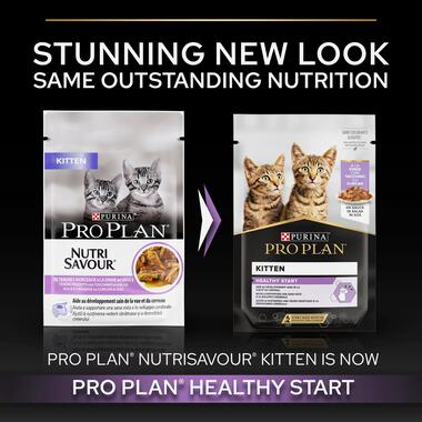 Purina Pro Plan Kitten, Wet Cat Food, Turkey in Gravy