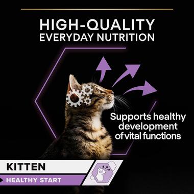 Purina Pro Plan Kitten, Wet Cat Food, Turkey in Gravy