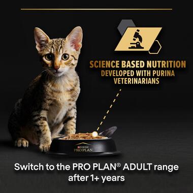 Purina Pro Plan Kitten, Wet Cat Food, Turkey in Gravy