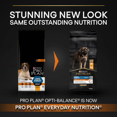 Purina Pro Plan Everyday Nutrition Large Robust Adult, Dry Dog food with Chicken
