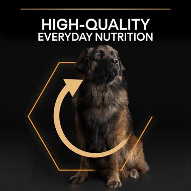 Purina Pro Plan Everyday Nutrition Large Robust Adult, Dry Dog food with Chicken