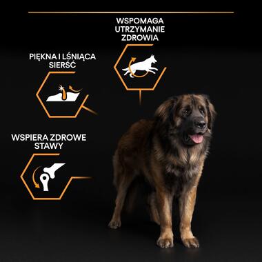 Purina Pro Plan Everyday Nutrition Large Robust Adult, Dry Dog food with Chicken