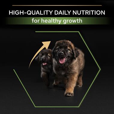 Purina Pro Plan Healthy Start Large Athletic Puppy, Dry Dog food with Chicken