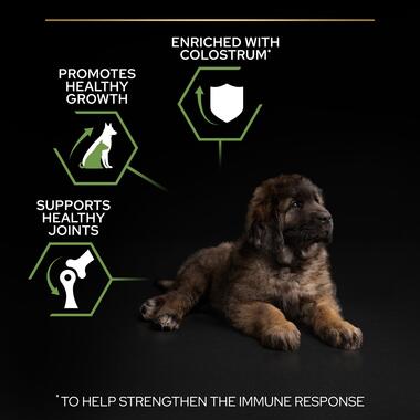 Purina Pro Plan Healthy Start Large Athletic Puppy, Dry Dog food with Chicken