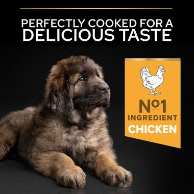 Purina Pro Plan Healthy Start Large Athletic Puppy, Dry Dog food with Chicken