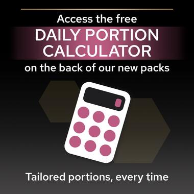 Purina Pro Plan Sensitive Skin Medium Adult, Dry Dog food with Salmon, 14 kg