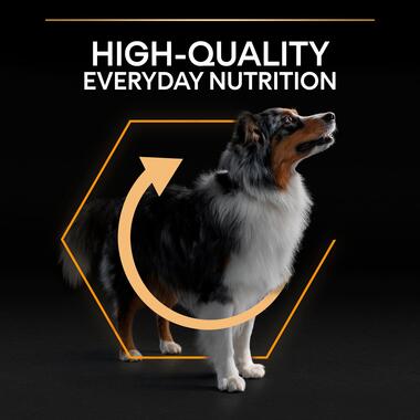 Purina Pro Plan Everyday Nutrition Medium Adult, Dry Dog food with Chicken