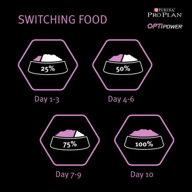 Purina Pro Plan Performance All Sizes Adult Dry Dog food with Chicken