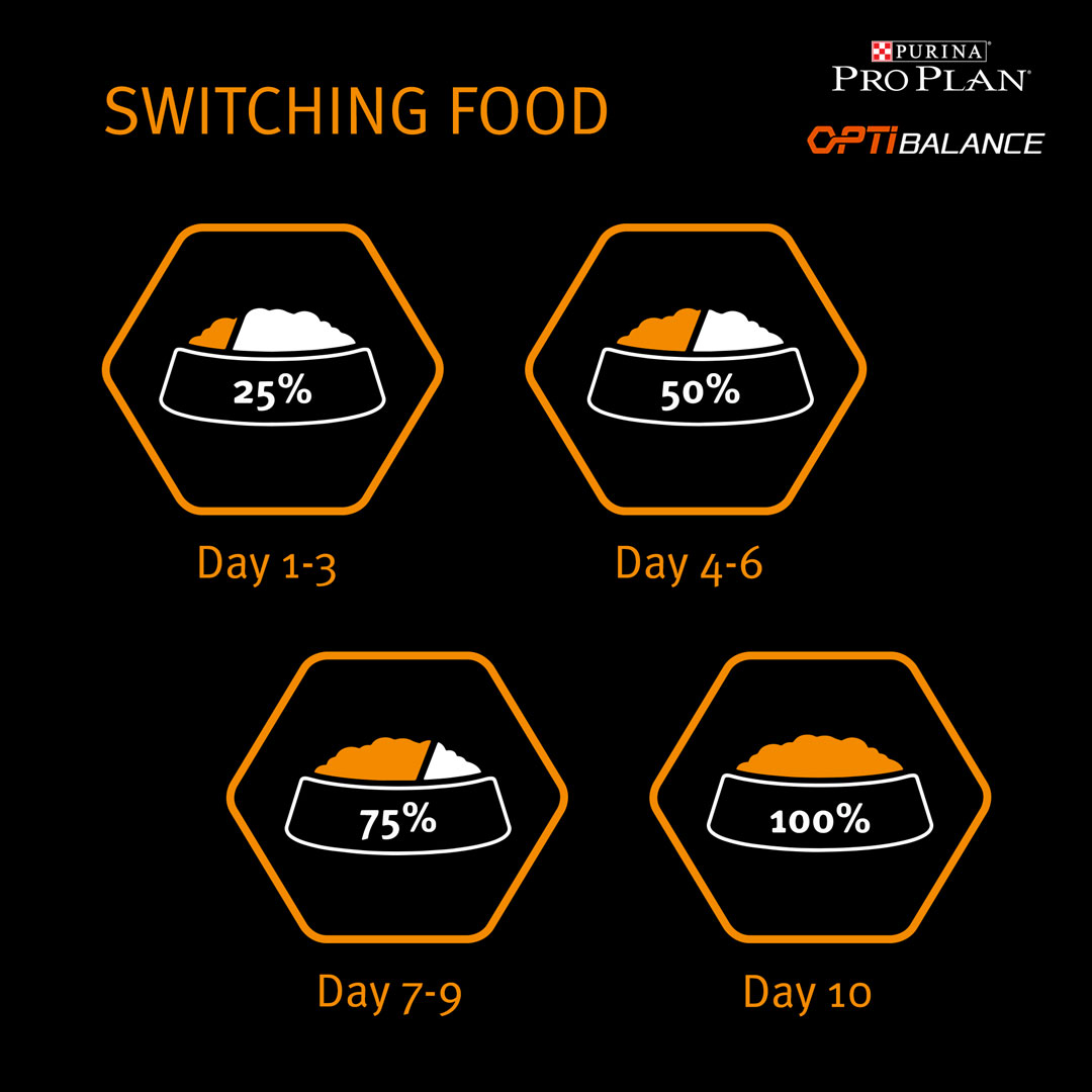 Purina Pro Plan Everyday Nutrition Small and Mini Adult, Dry Dog food with Chicken