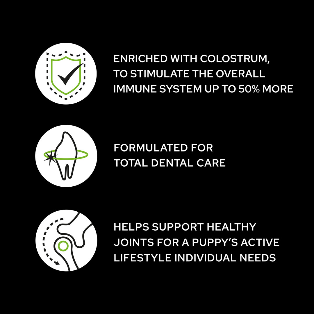 Purina Pro Plan Small & Mini Puppy Dry Dog Food with Chicken