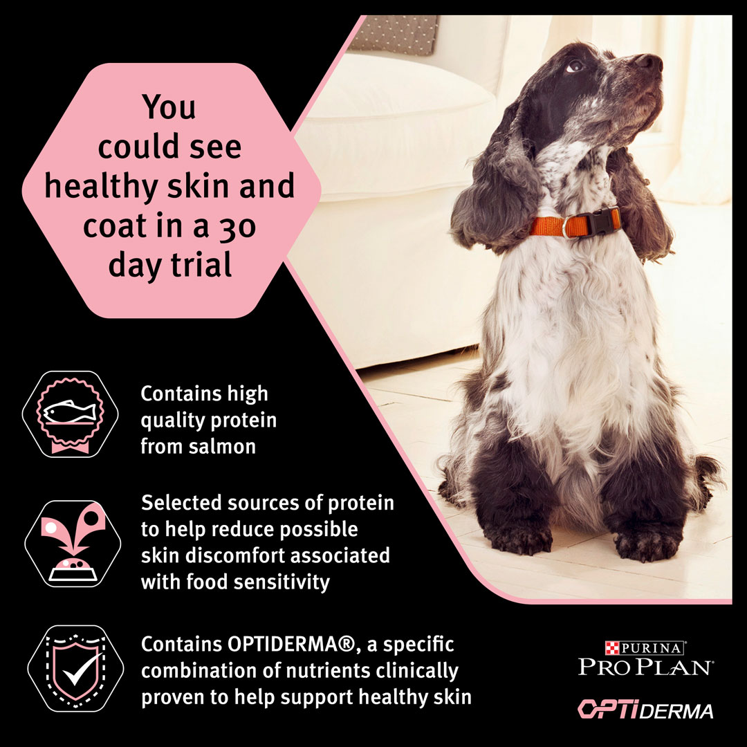 Purina Pro Plan Sensitive Skin Small and Mini Adult, Dry Dog food with Salmon