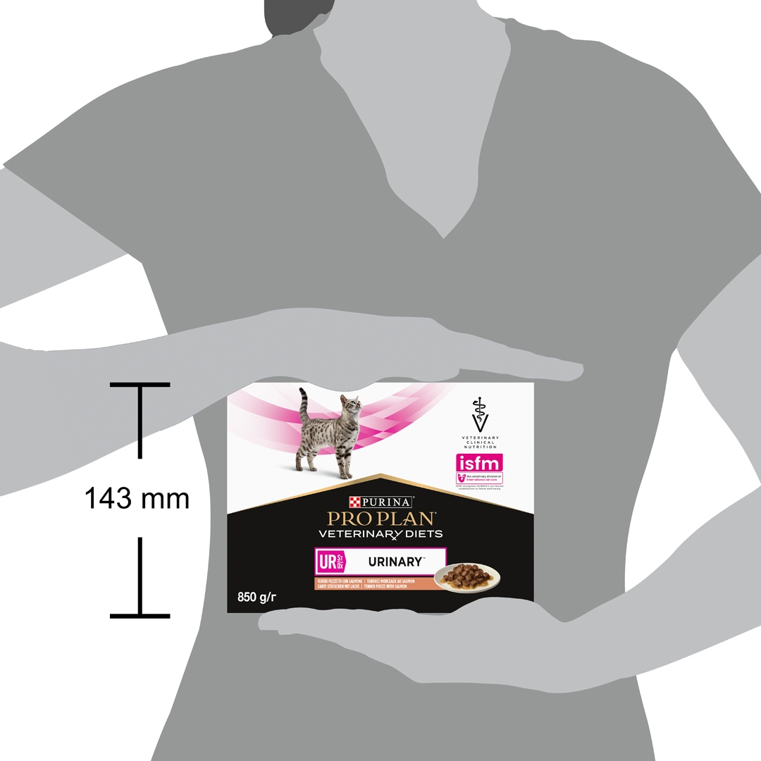 20017 PRO PLAN® VETERINARY DIETS UR Urinary with Salmon Wet Cat Food